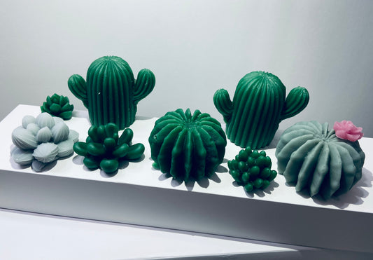 Succulent (Melts)