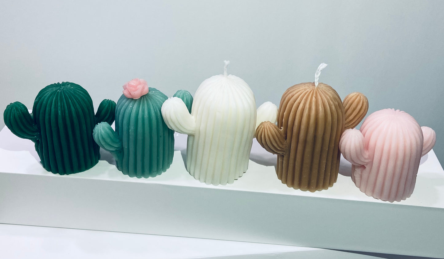 Cactus Candles (PACK OF 4)