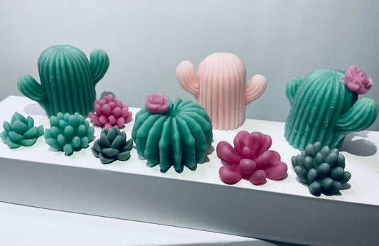 Succulent (Melts)